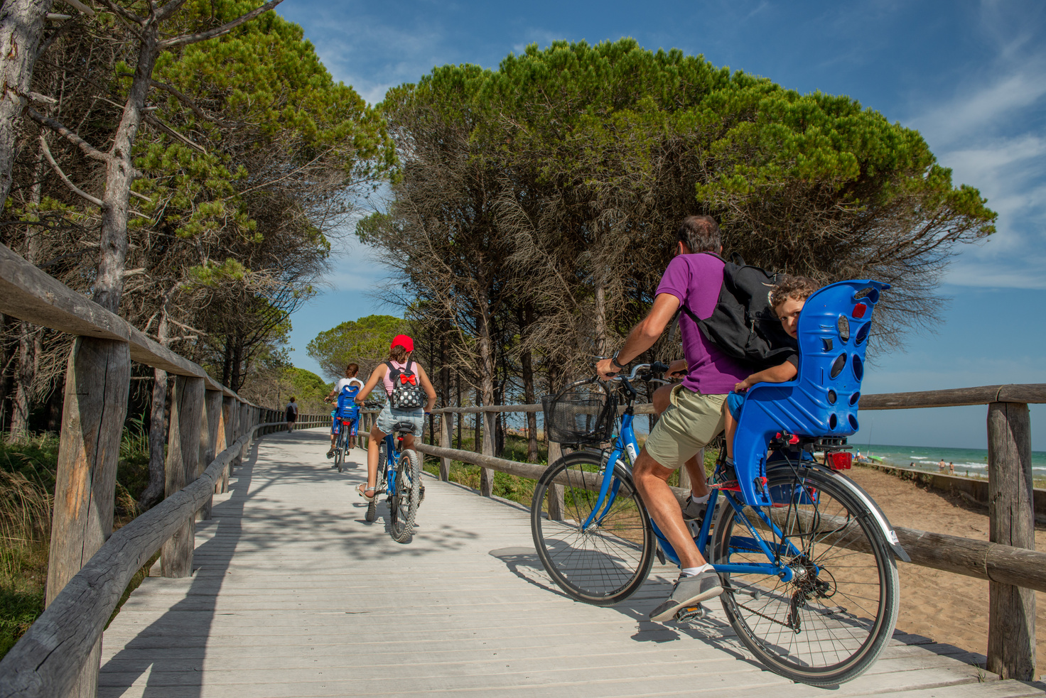 cycle path